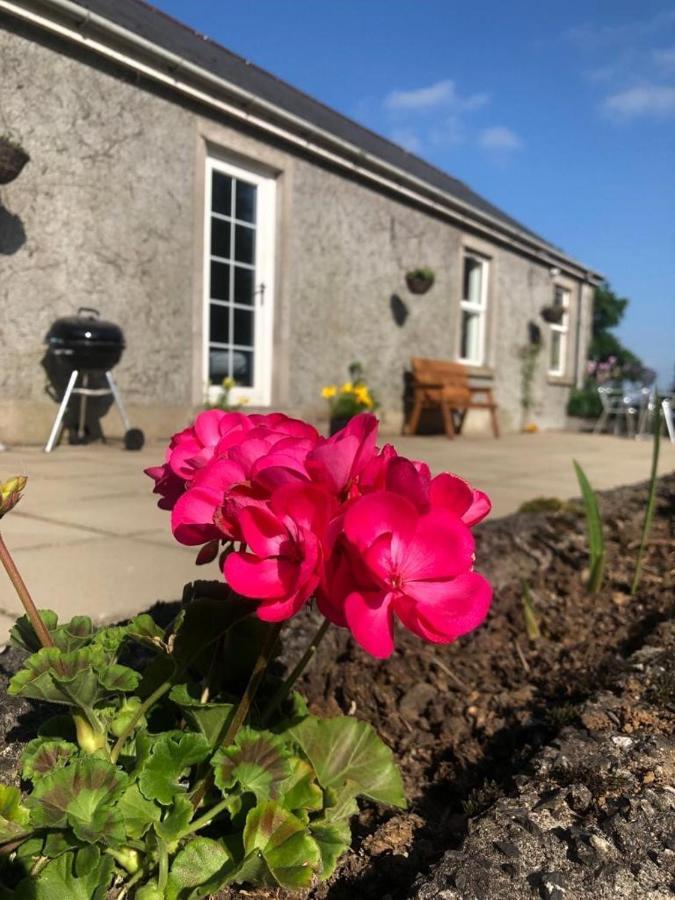 Ballyconnelly Cottages, Galgorm Area Cullybackey Екстериор снимка